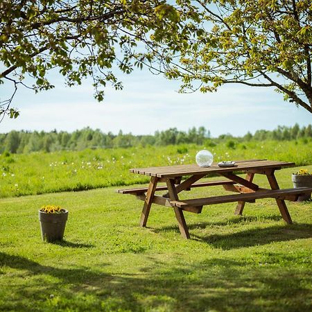 Vecteva Darzs Villa Rucava Bagian luar foto