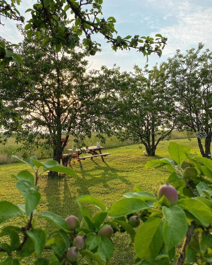 Vecteva Darzs Villa Rucava Bagian luar foto